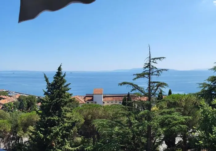 Vista *