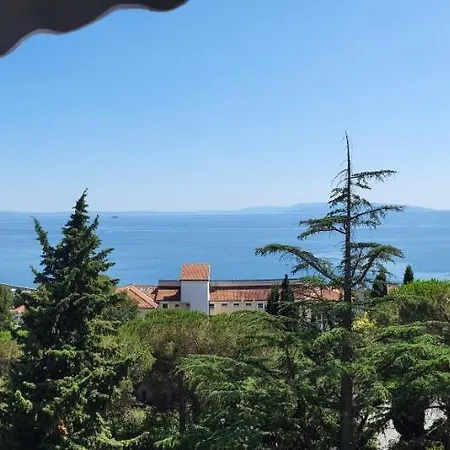 Vista *